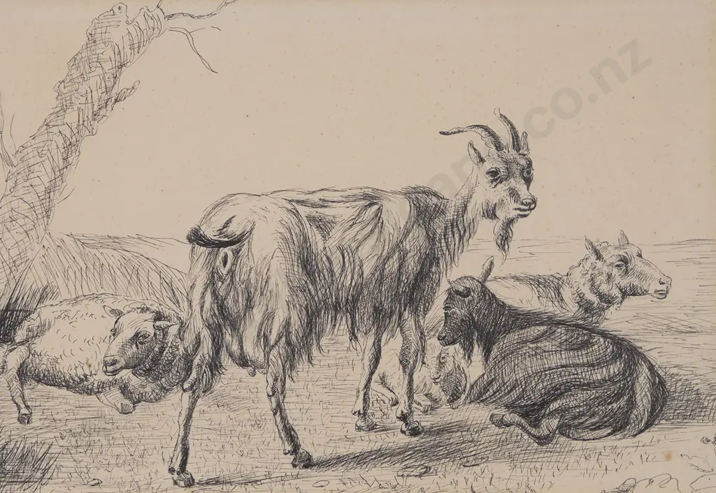 Unknown Artist - Study of Goats Image 1++