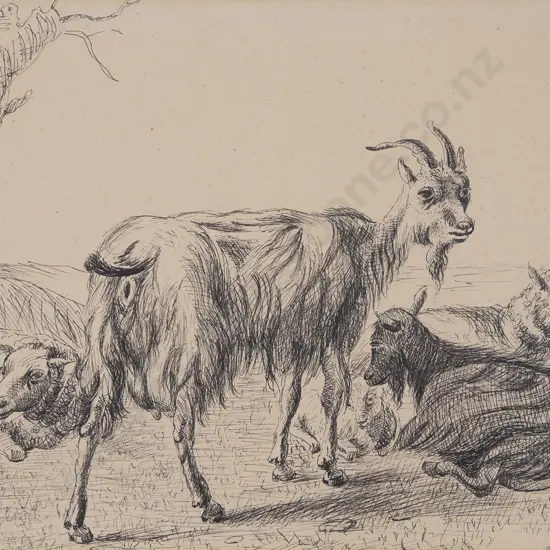 Unknown Artist - Study of Goats