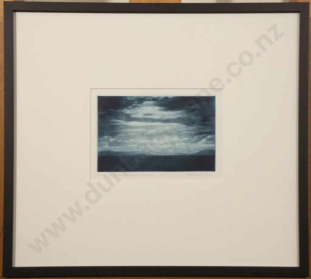 Chris Adams - Entering Wellington Harbour Image 1++