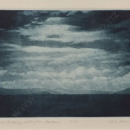Chris Adams - Entering Wellington Harbour