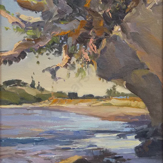 D K Neilson - Flaxmill Bay Coromandel