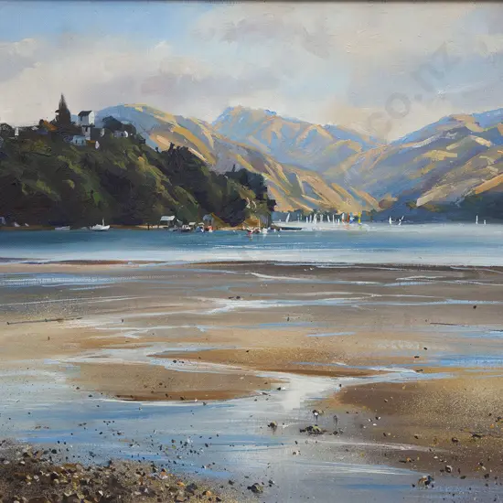 Colin Wynn - Morning Racers Paremata