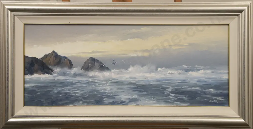 Brian Baxter - Southerly of Tory Channel Entrance Image 1++