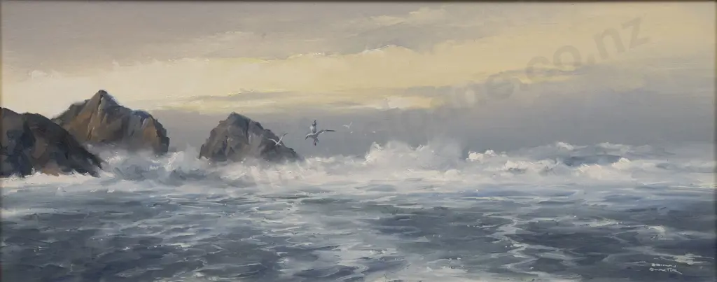 Brian Baxter - Southerly of Tory Channel Entrance Image 1++