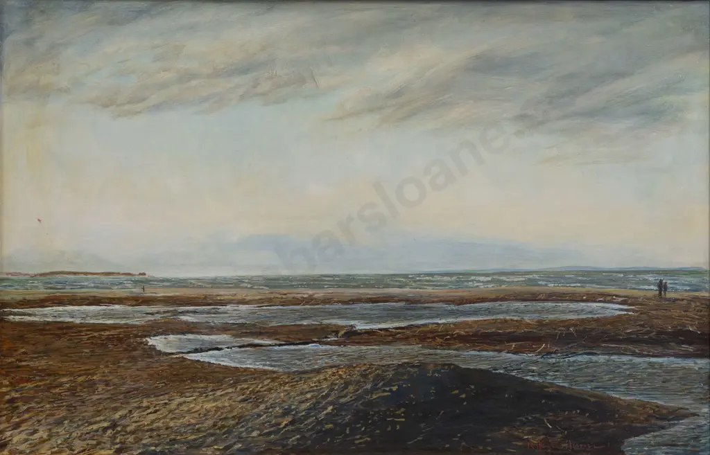 Roger Haynes-Hume - Kite Flying Sumner Beach Image 1++