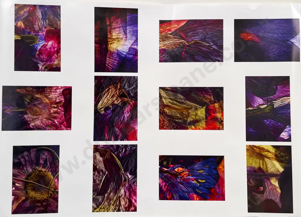 Collection of Photographs by various photographers Image 1++
