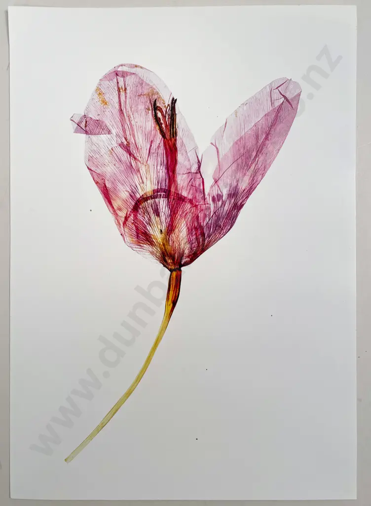 Collection of Photographs by various photographers Image 1++