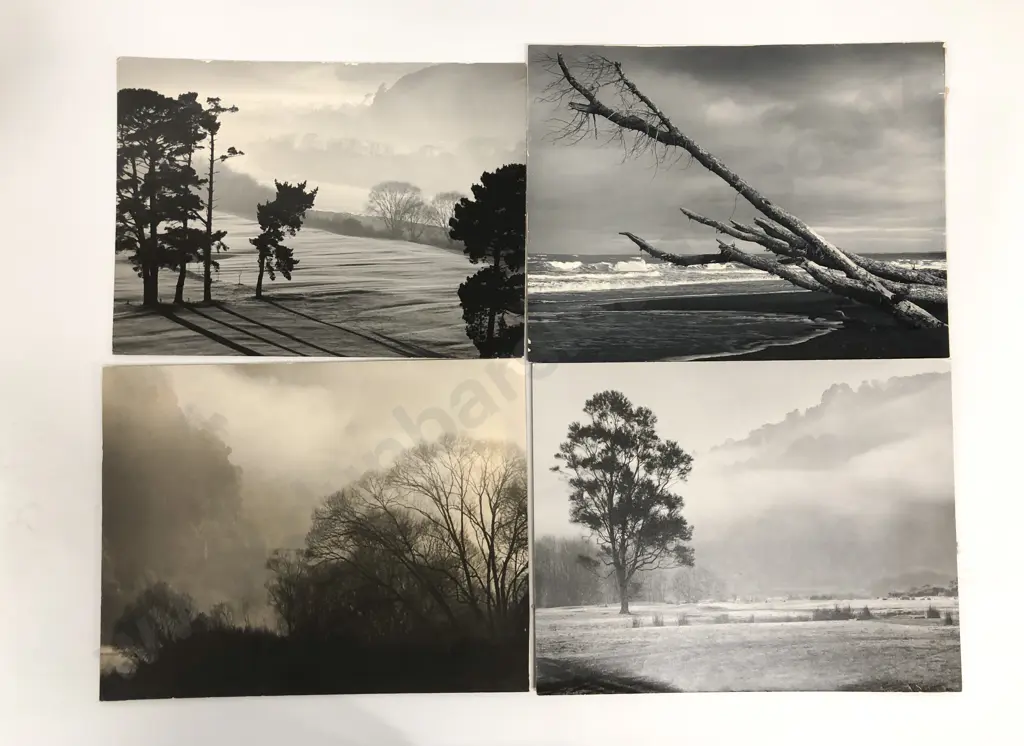 Greig Gordon Royle (1913 - 2005) and C G R Ward Image 1++
