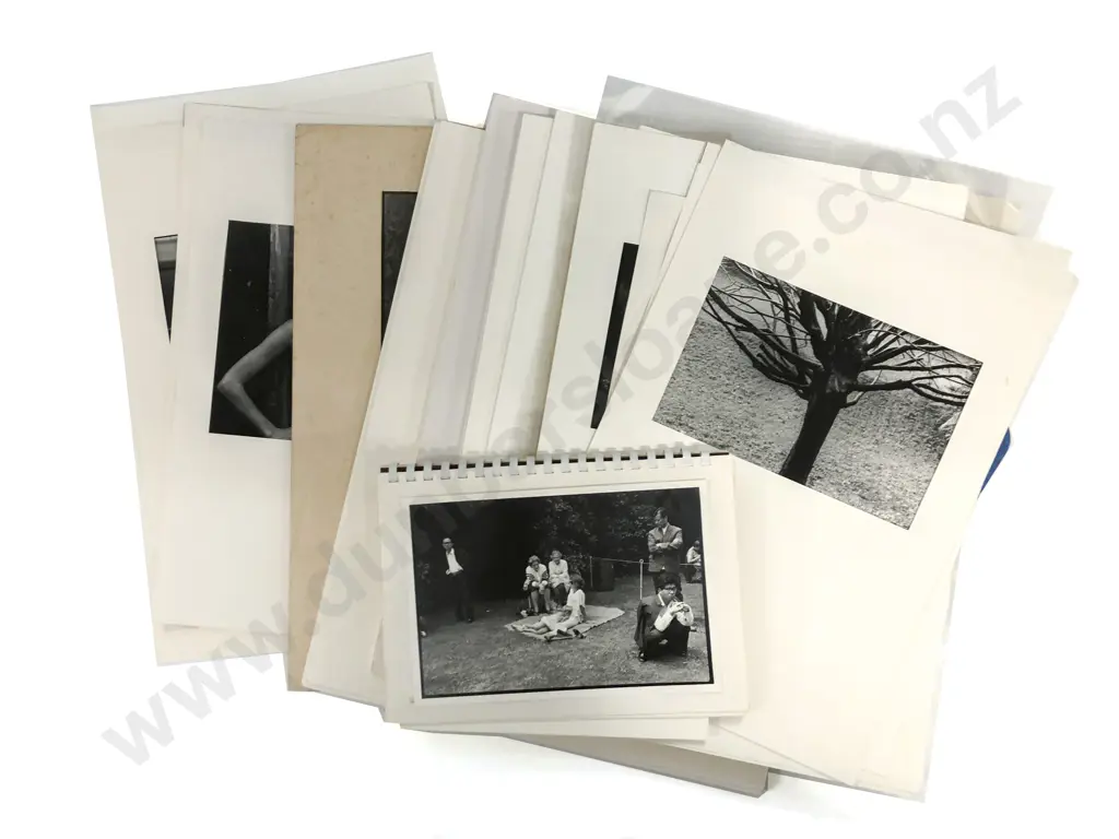 Collection of NZ Photography Image 1++