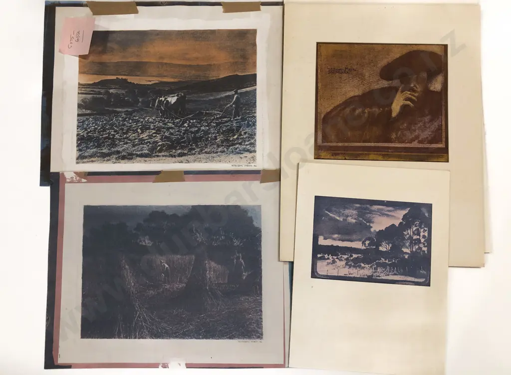 Sharyn Black and Other Photographers Collection of Works Image 1++