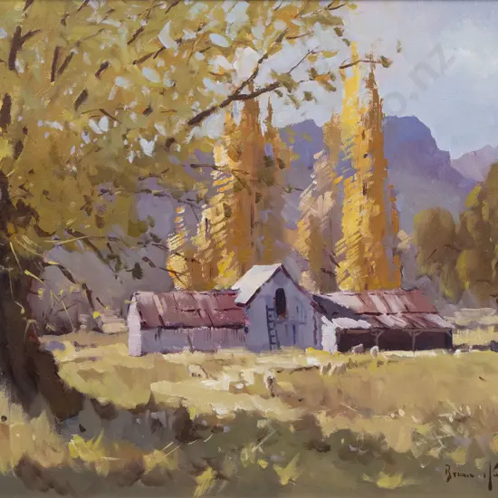 Brian Halliday - Wanaka Farm