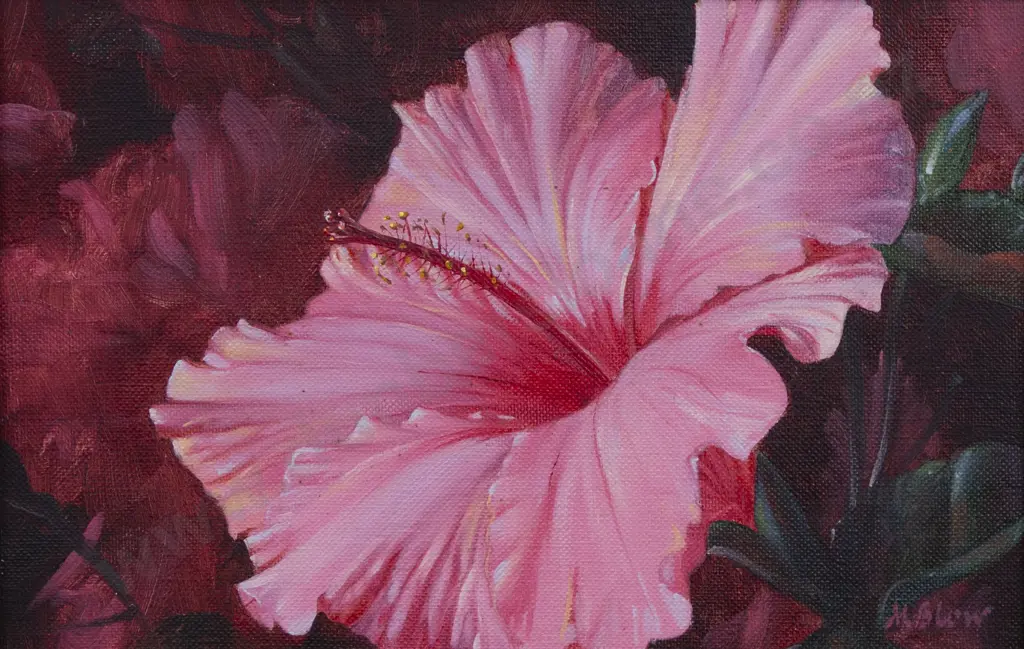 Michael Blow (b 1943) - Pink Hibiscus Image 1++