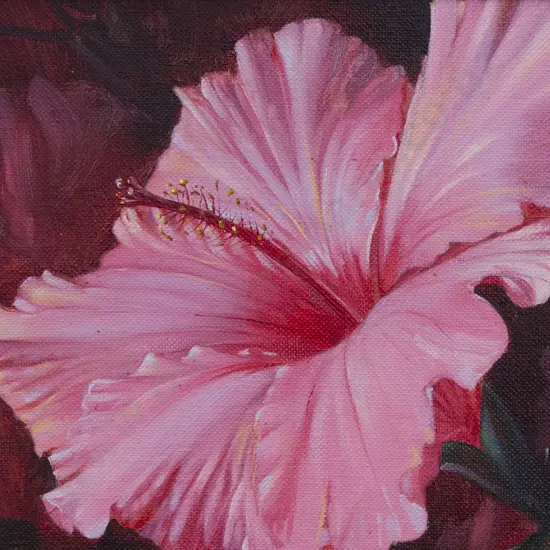 Michael Blow (b 1943) - Pink Hibiscus