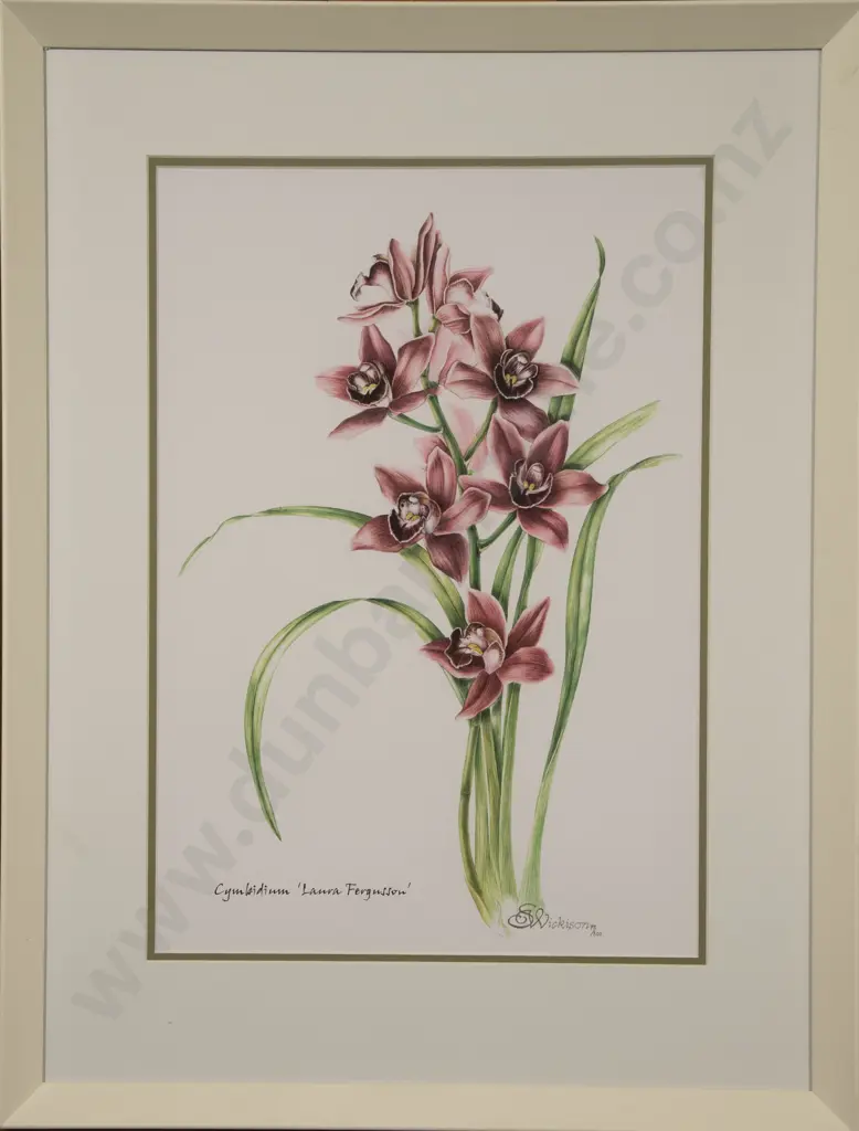 Sue Wickison - Cymbidium "Laura Ferguson" Image 1++