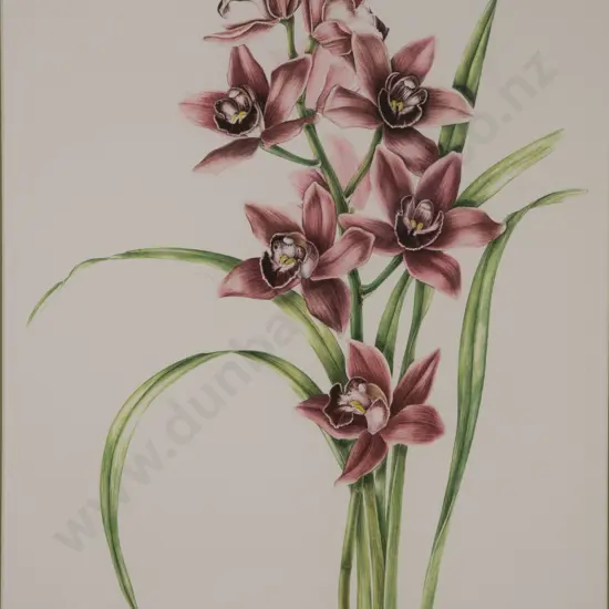 Sue Wickison - Cymbidium "Laura Ferguson"