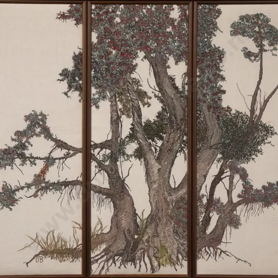 Moreen Bryant - Pohutakawa Tree Trunk
