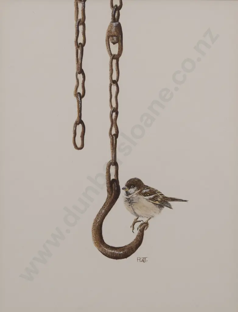 Trevor Platt - Sparrows in my Garden Image 1++