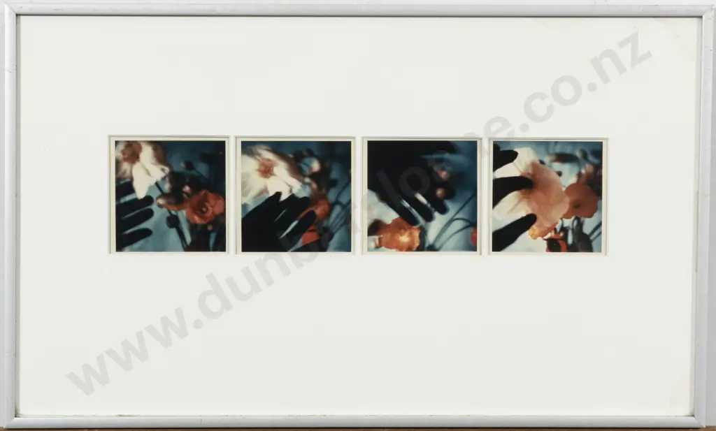 Christine Lloyd-Fitt - Poppies With Intruder Image 1++