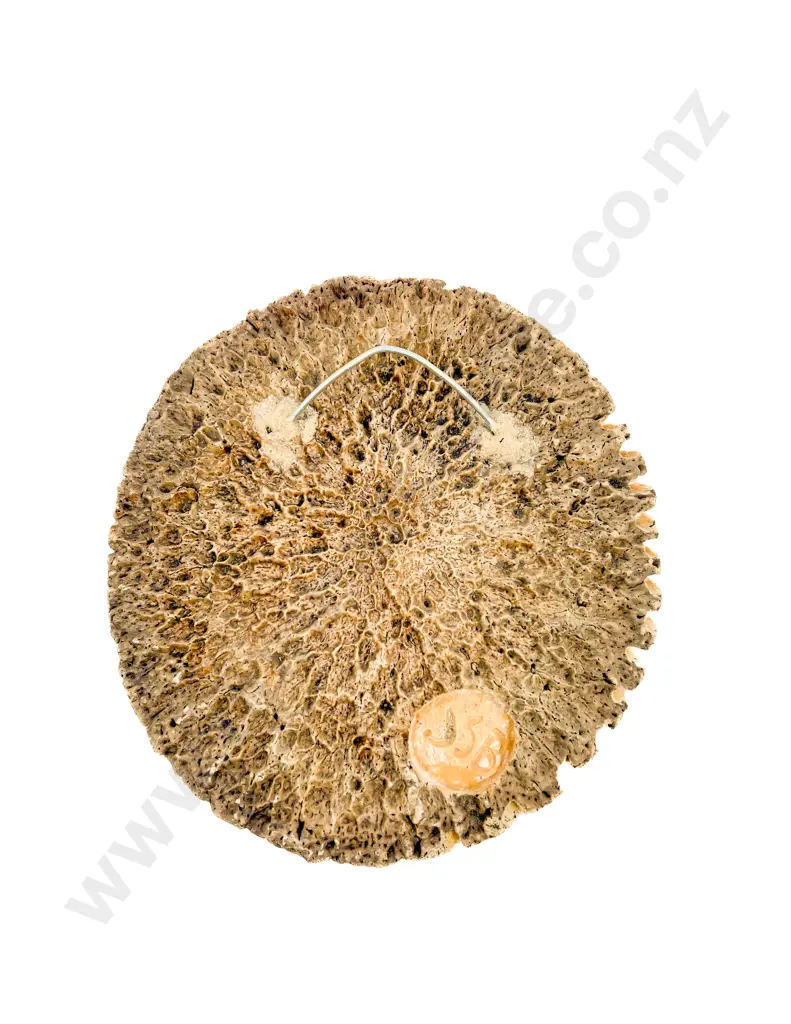 Pottery Wall Hanging Image 1++