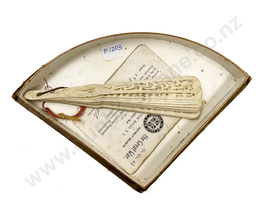 Ivory Fan together with Binoculars Image 1++