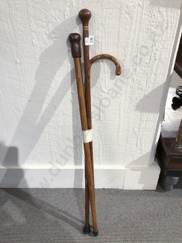 Three Vintage Walking Sticks Image 1++