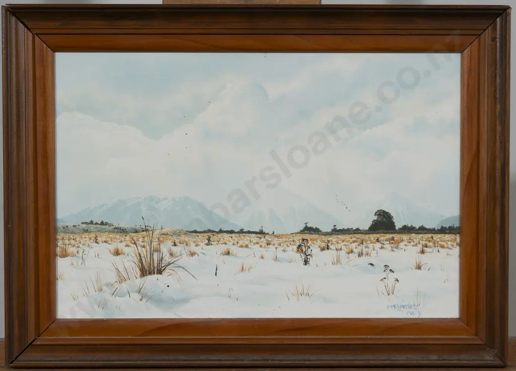 Ian Hamlin - Central Plateau Image 1++