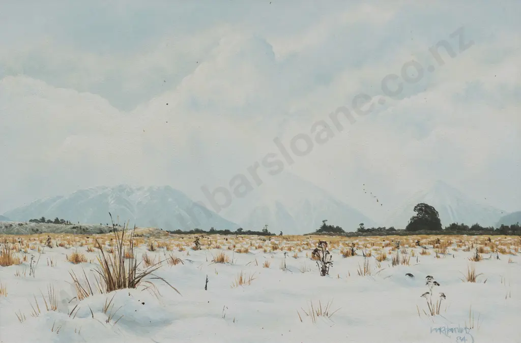 Ian Hamlin - Central Plateau Image 1++
