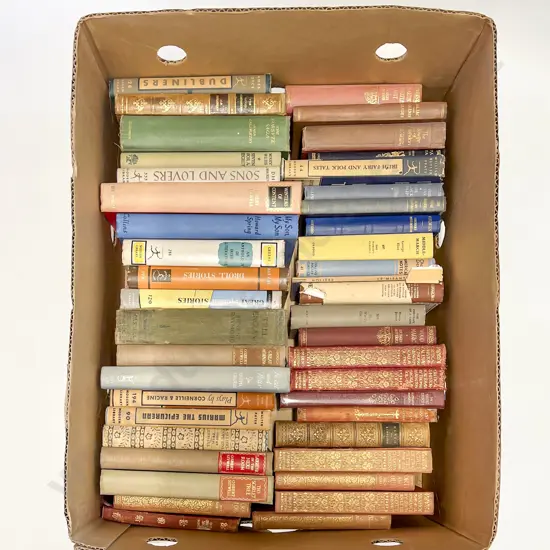 Two Boxes of Assorted Books