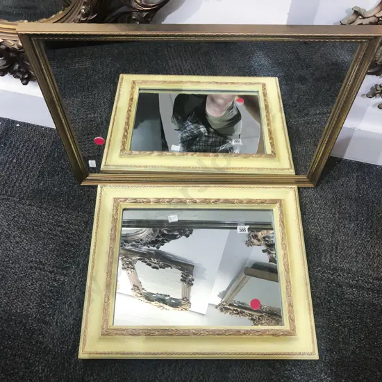 Two Rectangular Wall Mirrors