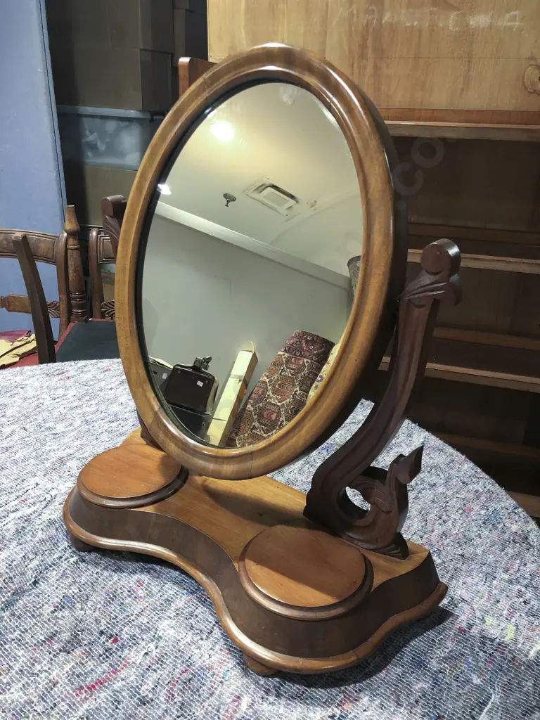 Mahogany Toilet Swing Mirror Image 1++