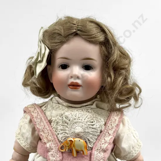 Hertel Schwab & Co Bisque Character Doll