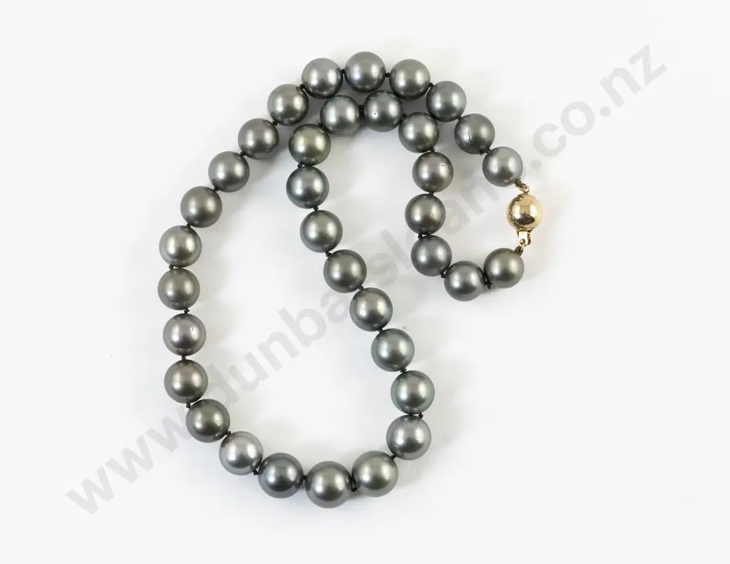 Single Strand Uniform Black South Seas Cultured Pearl Necklace Image 1++
