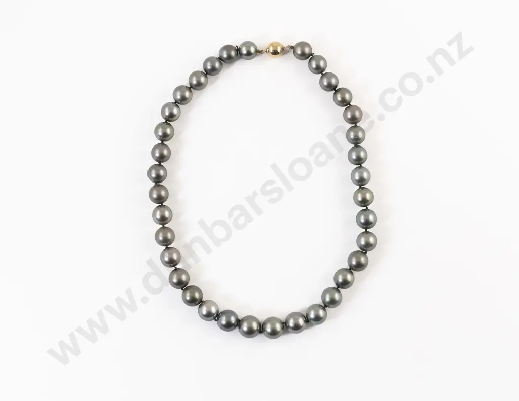 Single Strand Uniform Black South Seas Cultured Pearl Necklace Image 1++