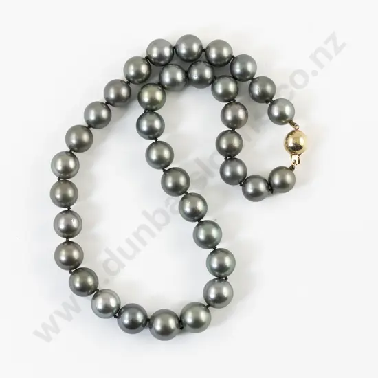 Single Strand Uniform Black South Seas Cultured Pearl Necklace
