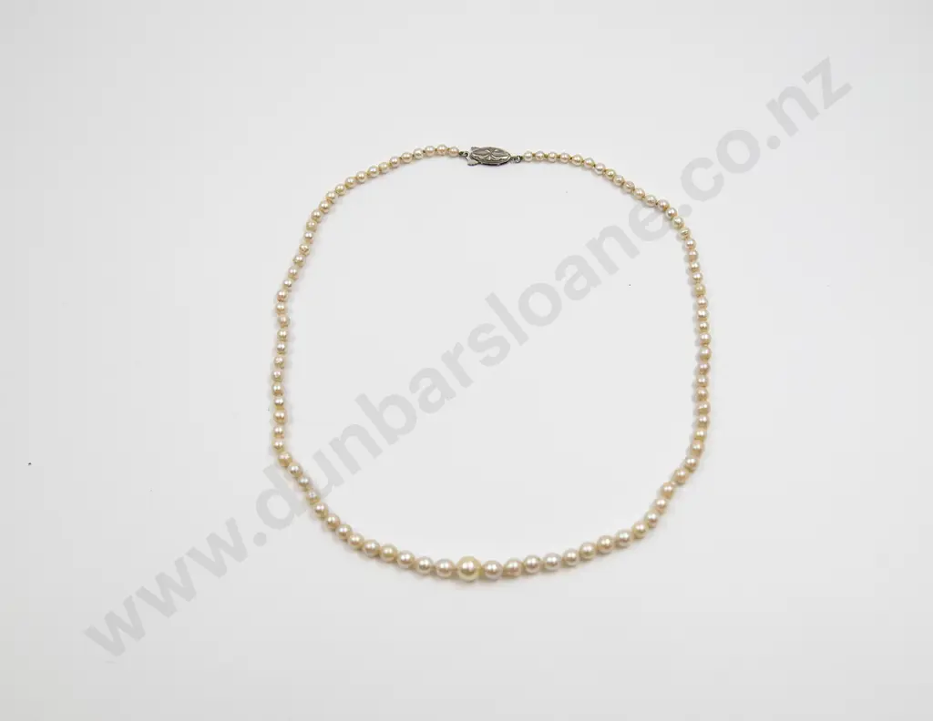 Single Strand Graduated Cultured Pearl Necklace Image 1++