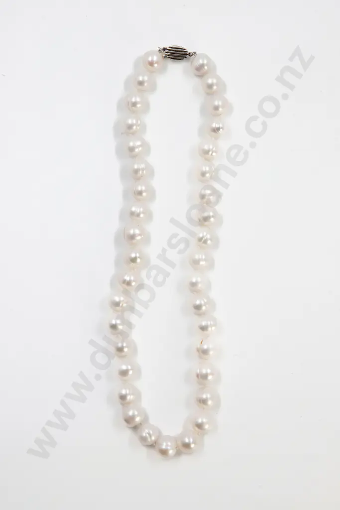 Single Strand Uniform Freshwater Pearl Necklace Image 1++