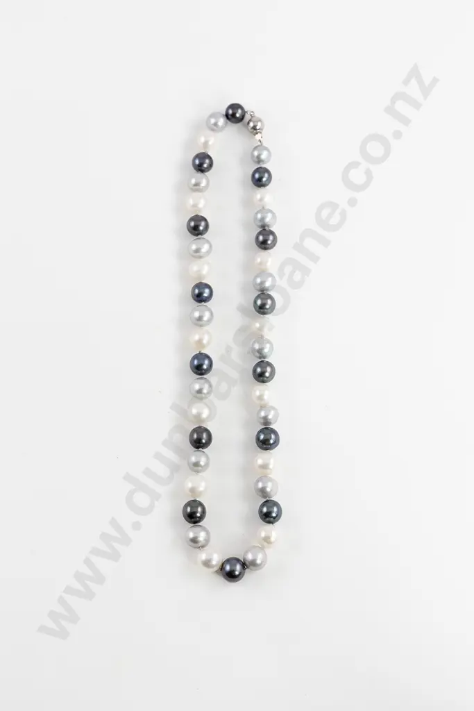 Single Strand Uniform Cultured Multi-Coloured Pearl Necklace Image 1++