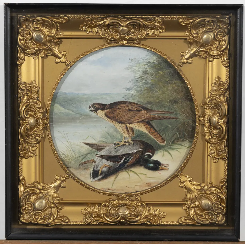 Louis (?) - Peregrine & Mallard Image 1++