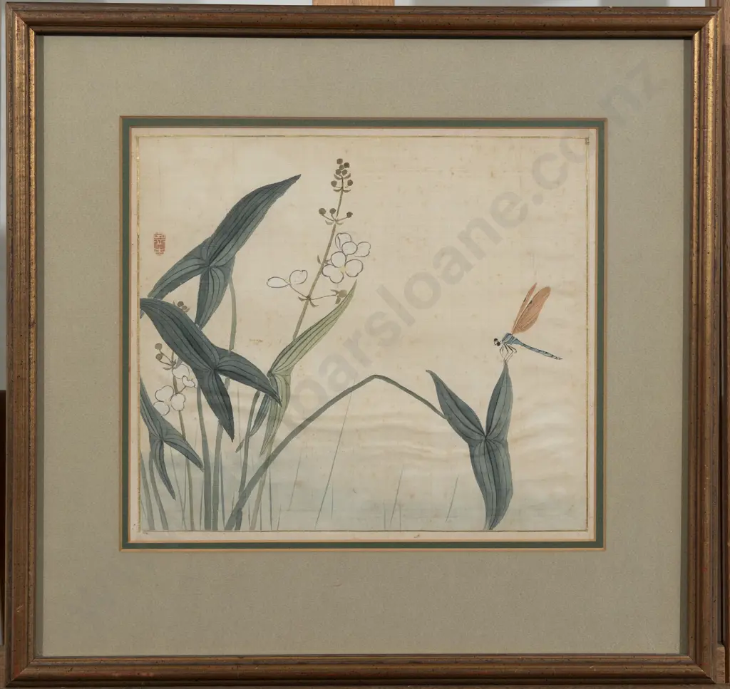 Chinese School  - Dragonfly Image 1++