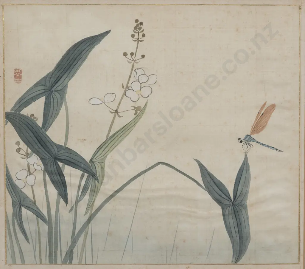 Chinese School  - Dragonfly Image 1++