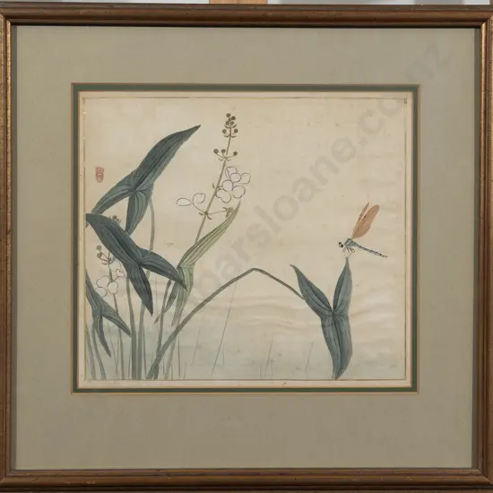 Chinese School  - Dragonfly