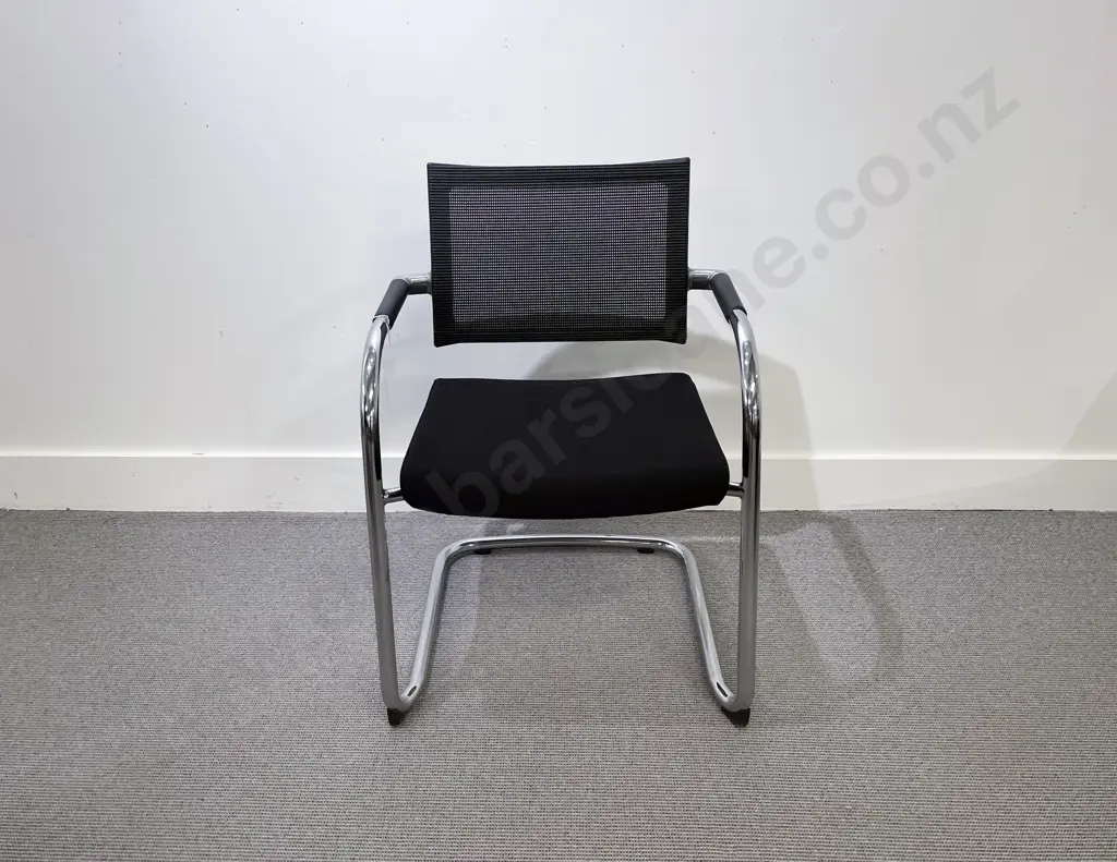 Ergoform Cantilevered Skin Armchair Image 1++