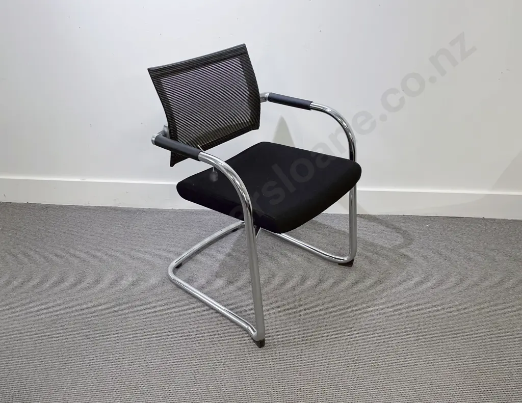 Ergoform Cantilevered Skin Armchair Image 1++
