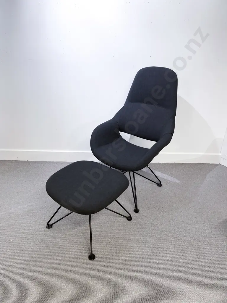 Norbert Geelen For Kusch And Company Volpe High Back Chair And Foot Stool Image 1++