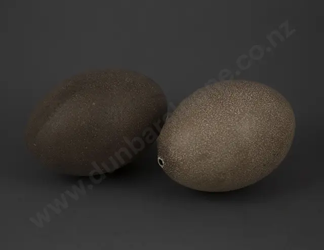 Late C19th Australian Emu Egg Display Image 1++