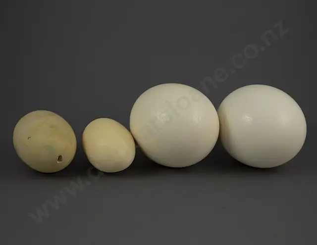 Two Ostrich Eggs & Two Resin Eggs Image 1++