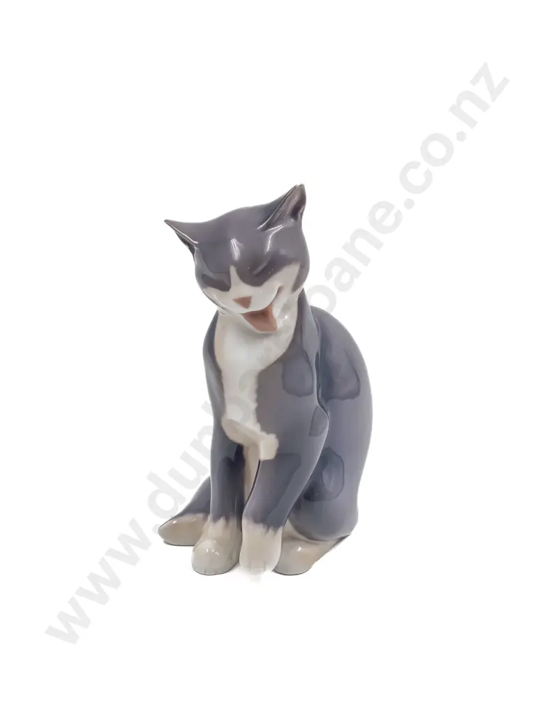 B&G Cat Image 1++