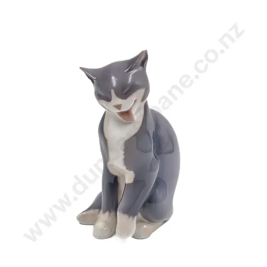 B&G Cat