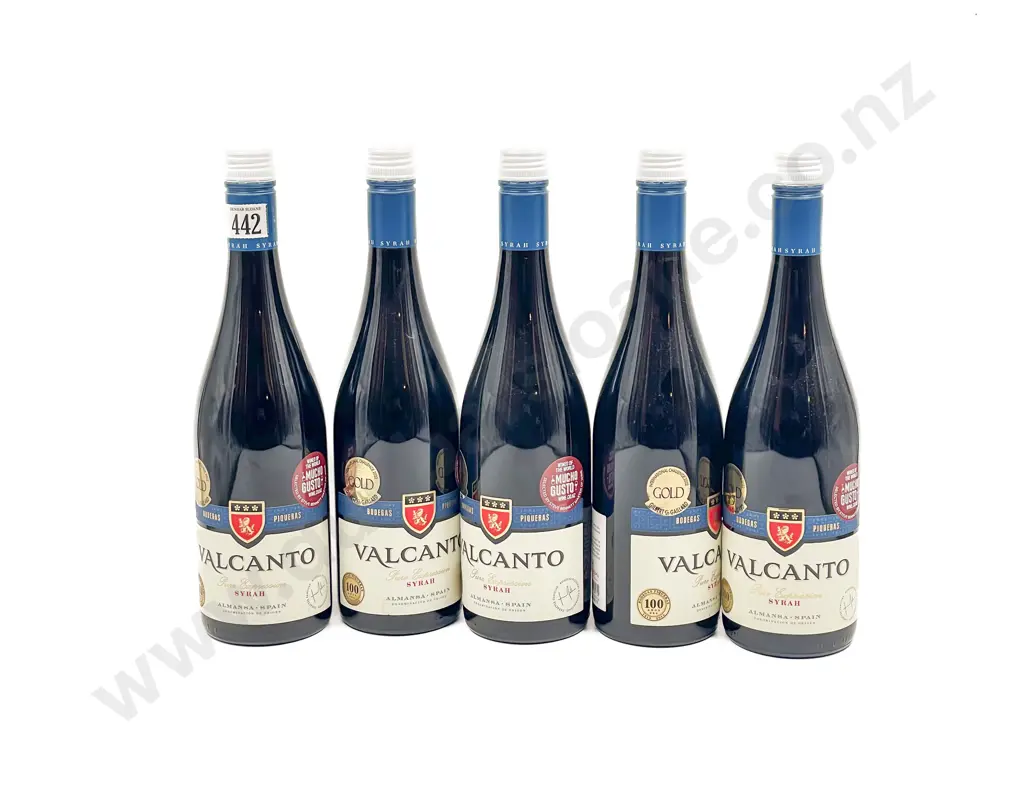 Spanish 2022 Valcanto Syrah x5 btls Image 1++