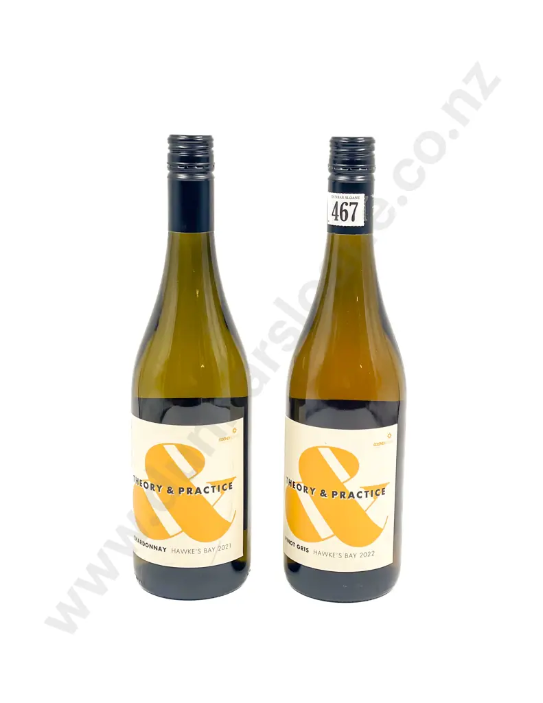 NZ 2022 Theory & Practice Pinot Gris x2 btls Image 1++